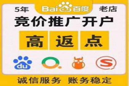 百度平台推广案例：低成本营销的成功之道